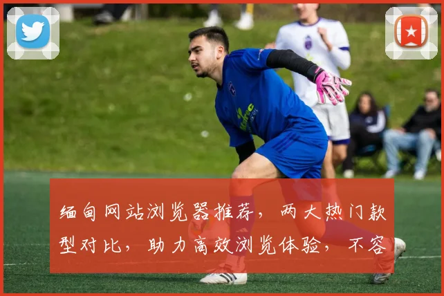 缅甸网站浏览器推荐，两大热门款型对比，助力高效浏览体验，不容错过