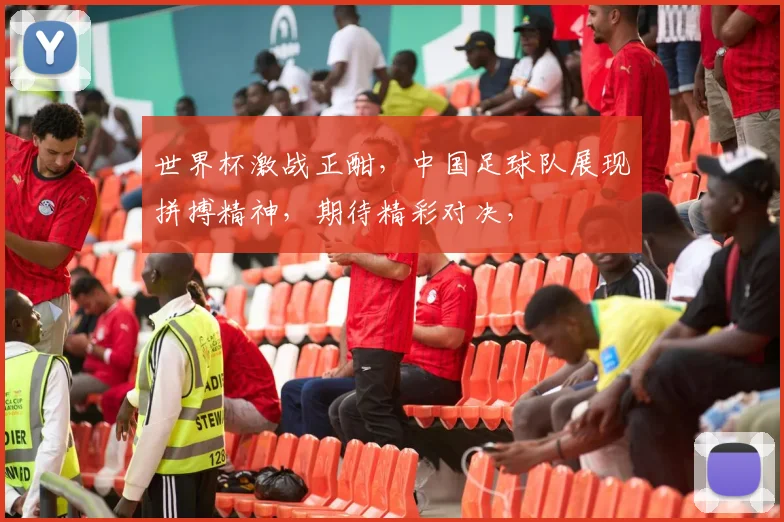 世界杯激战正酣，中国足球队展现拼搏精神，期待精彩对决，