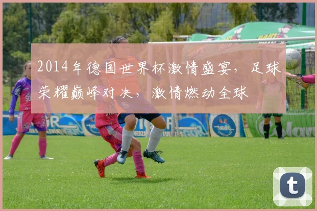 2014年德国世界杯激情盛宴，足球荣耀巅峰对决，激情燃动全球