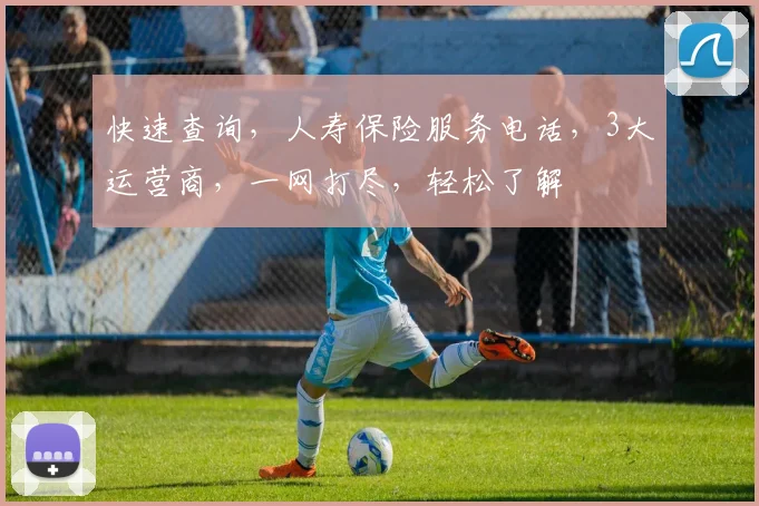 快速查询，人寿保险服务电话，3大运营商，一网打尽，轻松了解