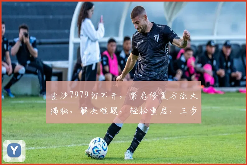 金沙7979打不开，紧急修复方法大揭秘，解决难题，轻松重启，三步搞定，速来尝试